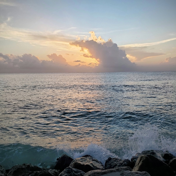 Meet your Posher - Picture 1 of 1